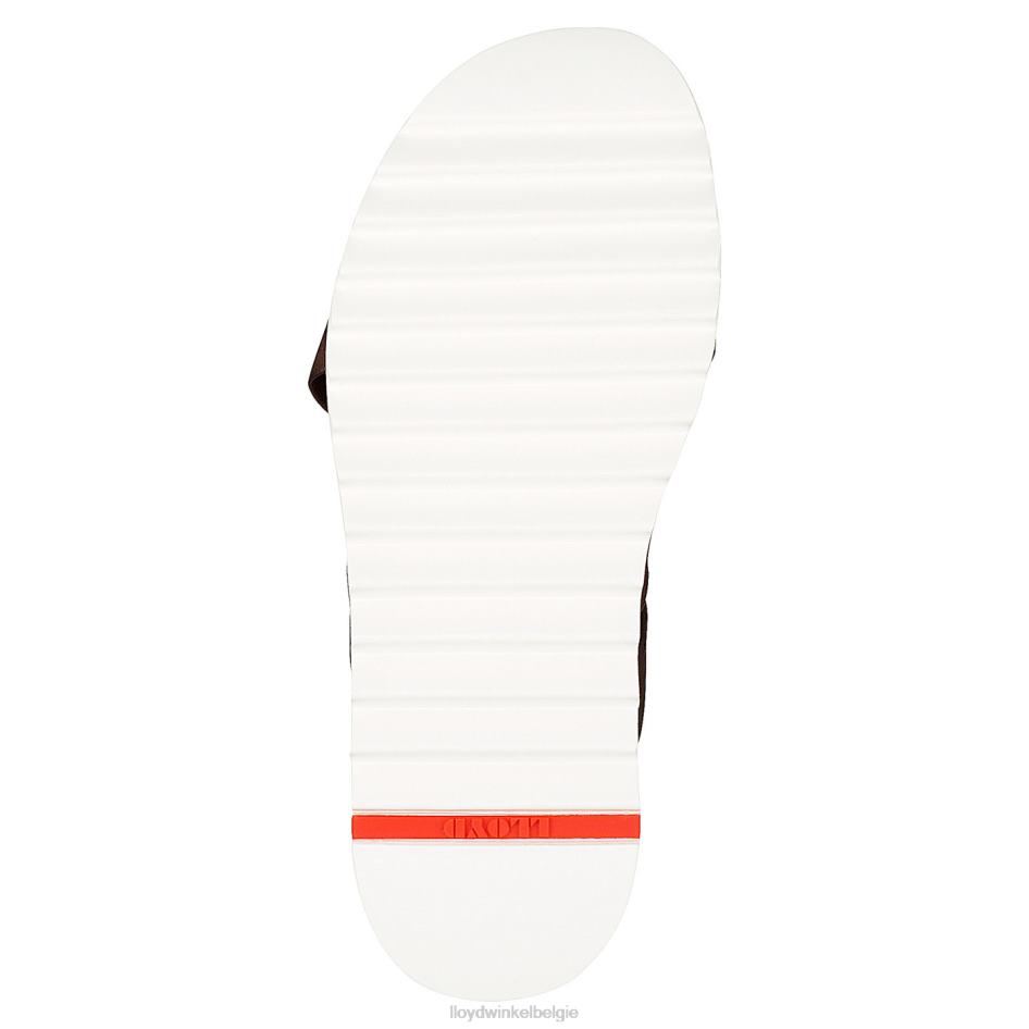 Edvino Heren LLOYD bruin schoenen ZJ6BL584