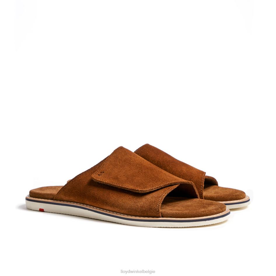 Elios Heren LLOYD bruin schoenen ZJ6BL581