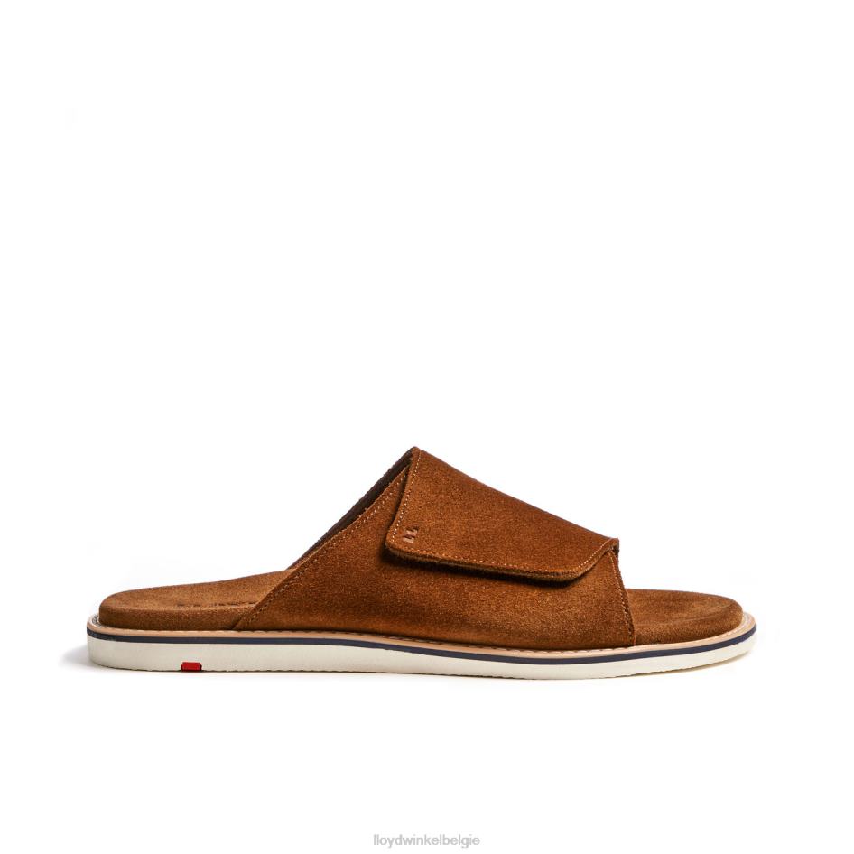 Elios Heren LLOYD bruin schoenen ZJ6BL581