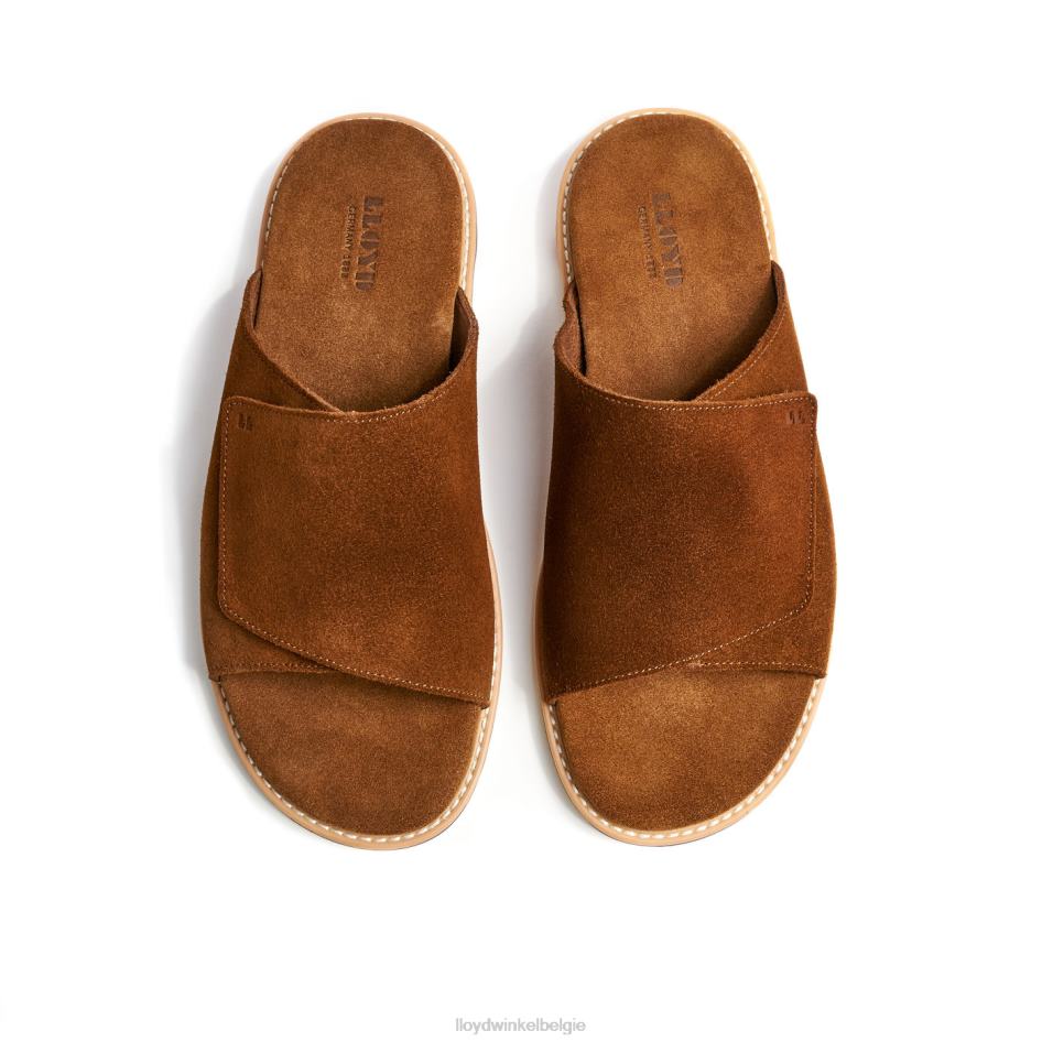 Elios Heren LLOYD bruin schoenen ZJ6BL581