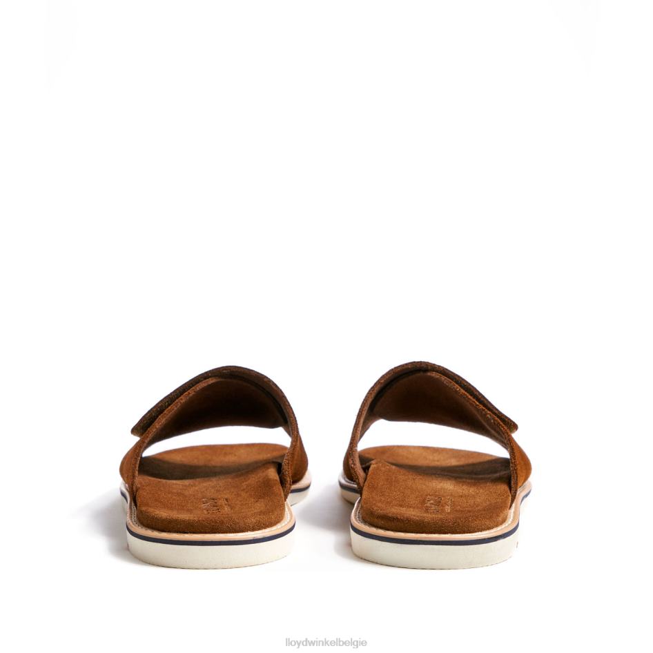 Elios Heren LLOYD bruin schoenen ZJ6BL581