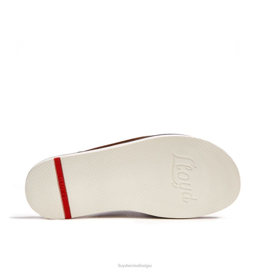 Elios Heren LLOYD bruin schoenen ZJ6BL581