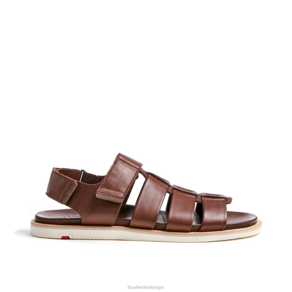 elimar Heren LLOYD bruin schoenen ZJ6BL583