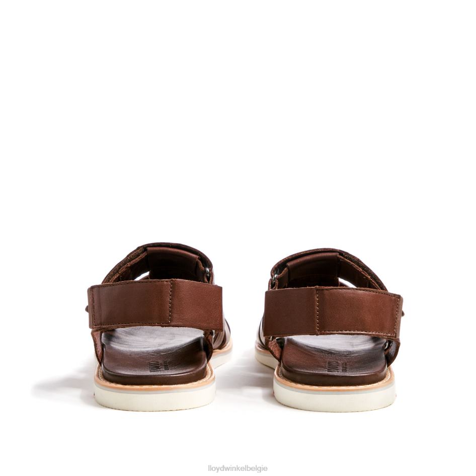 elimar Heren LLOYD bruin schoenen ZJ6BL583