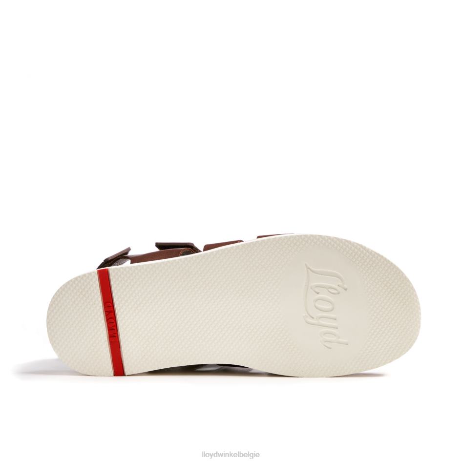 elimar Heren LLOYD bruin schoenen ZJ6BL583