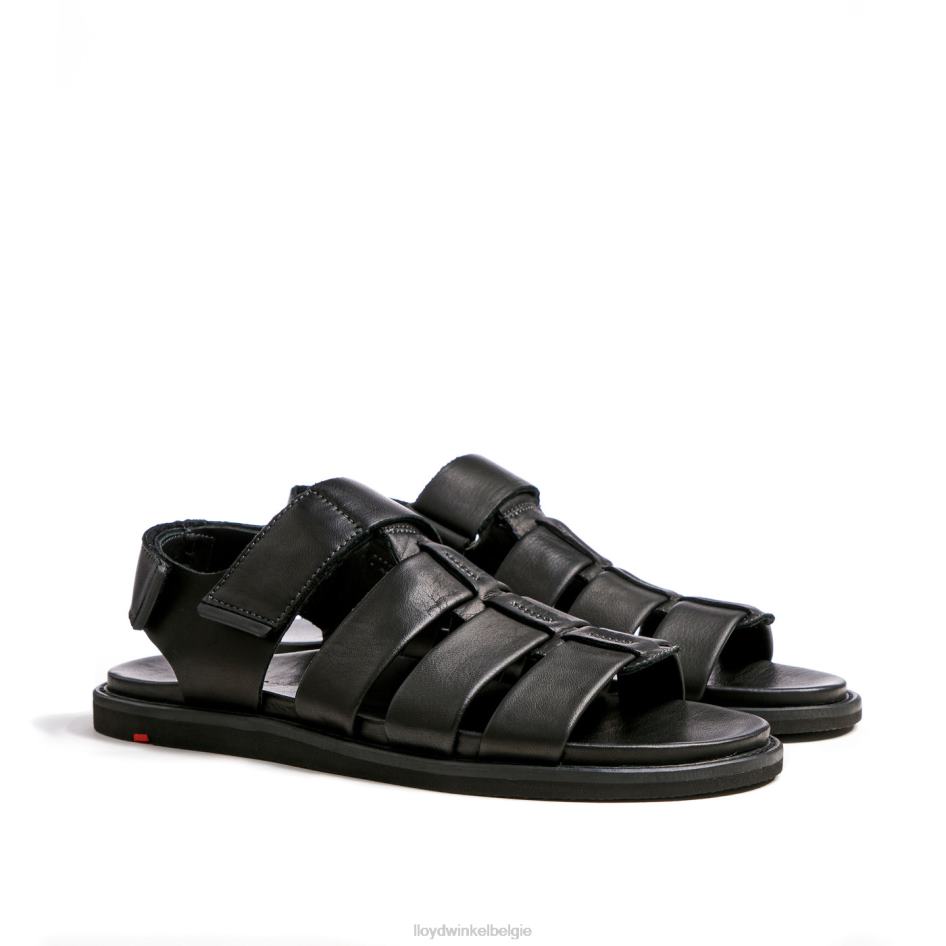 elimar Heren LLOYD zwart schoenen ZJ6BL580