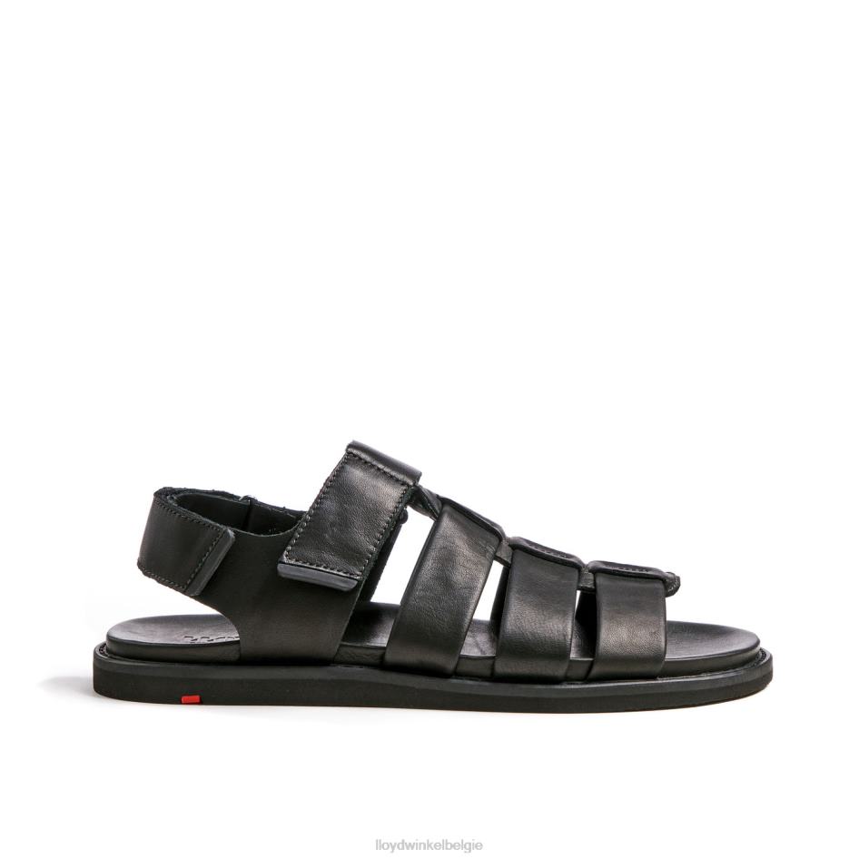 elimar Heren LLOYD zwart schoenen ZJ6BL580