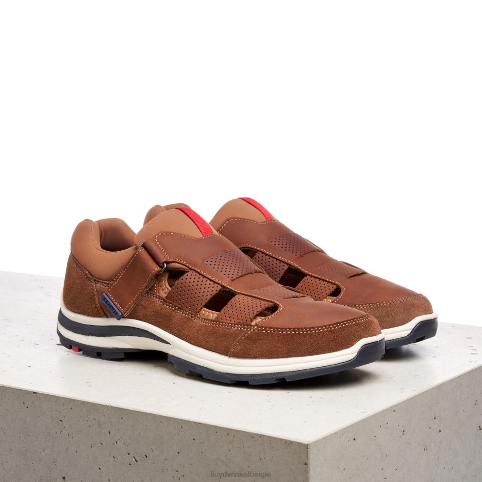 elrado Heren LLOYD bruin schoenen ZJ6BL625