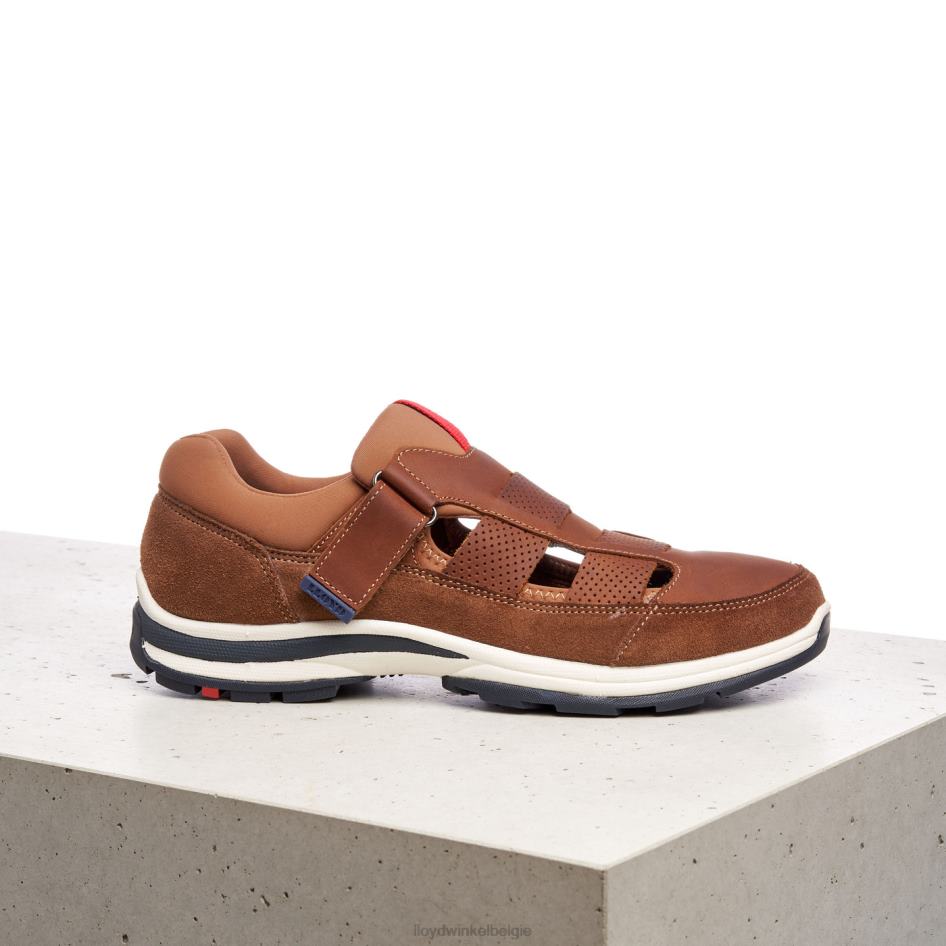 elrado Heren LLOYD bruin schoenen ZJ6BL625