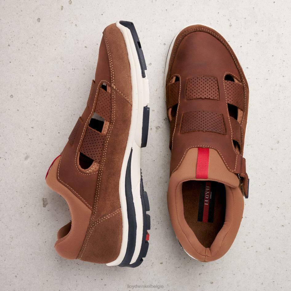 elrado Heren LLOYD bruin schoenen ZJ6BL625