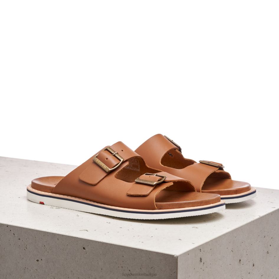 emerson Heren LLOYD bruin schoenen ZJ6BL579