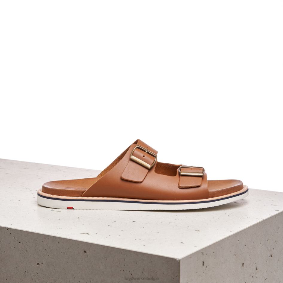 emerson Heren LLOYD bruin schoenen ZJ6BL579