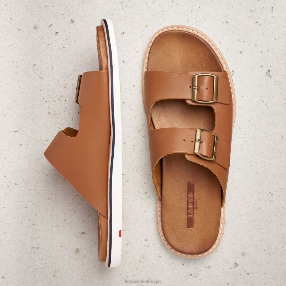 emerson Heren LLOYD bruin schoenen ZJ6BL579