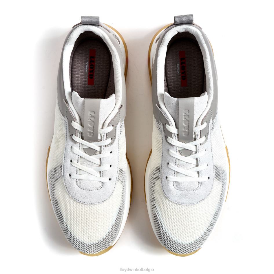 Aaron Heren LLOYD wit schoenen ZJ6BL1335