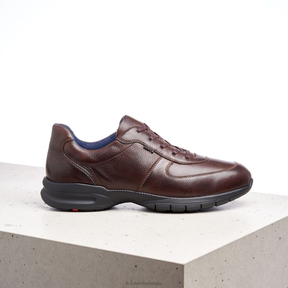 Aberdeen Heren LLOYD bruin schoenen ZJ6BL387