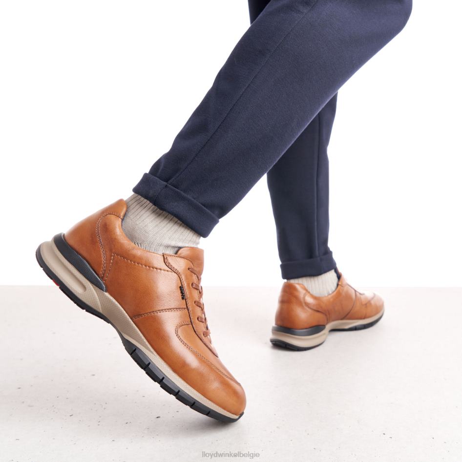 Aberdeen Heren LLOYD bruin schoenen ZJ6BL392