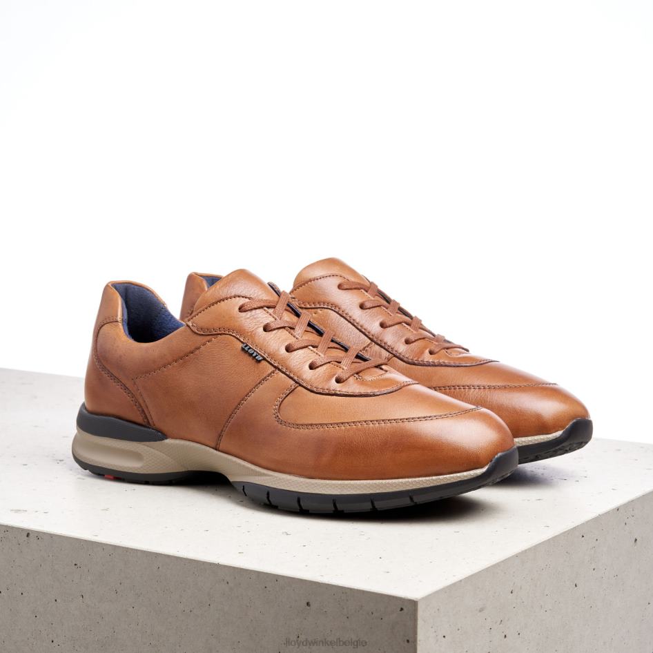 Aberdeen Heren LLOYD bruin schoenen ZJ6BL392