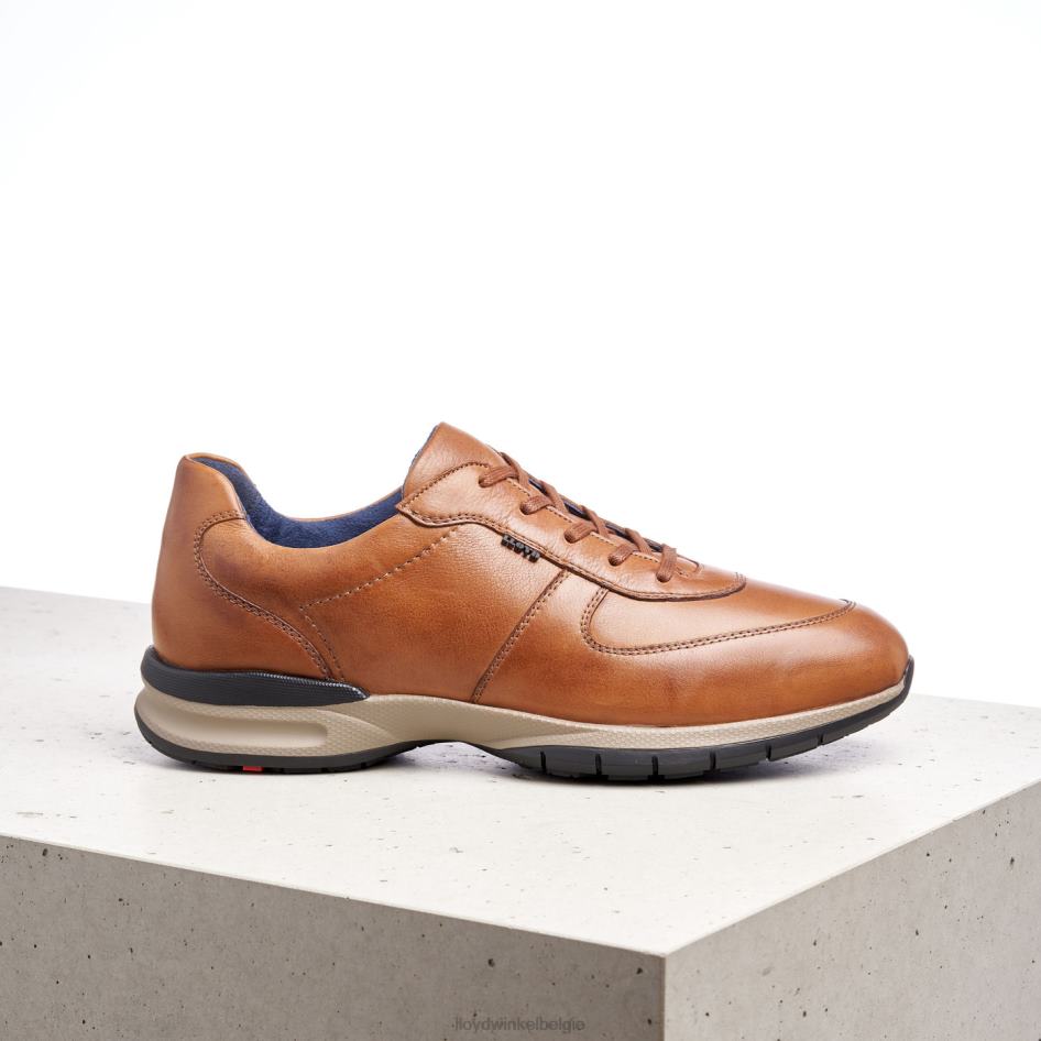 Aberdeen Heren LLOYD bruin schoenen ZJ6BL392