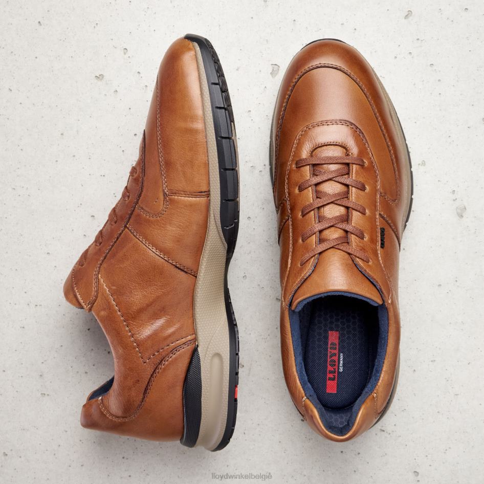 Aberdeen Heren LLOYD bruin schoenen ZJ6BL392