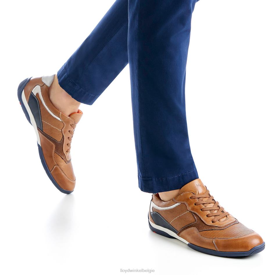 Baltimore Heren LLOYD bruin schoenen ZJ6BL287