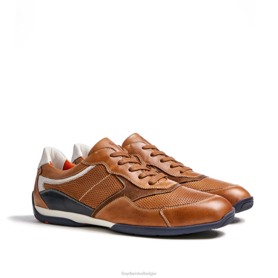 Baltimore Heren LLOYD bruin schoenen ZJ6BL287