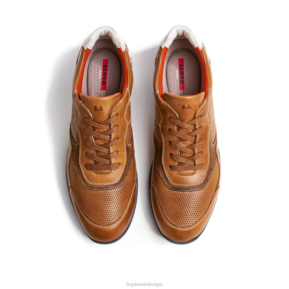 Baltimore Heren LLOYD bruin schoenen ZJ6BL287