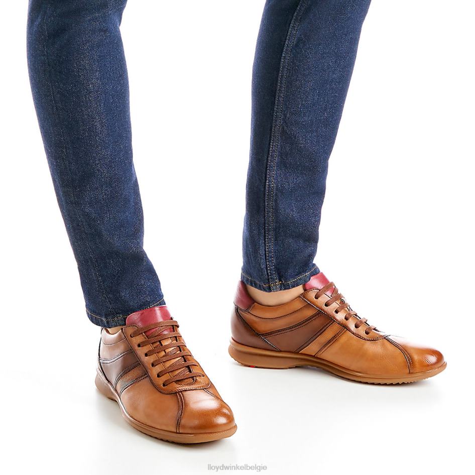Davos Heren LLOYD bruin schoenen ZJ6BL308