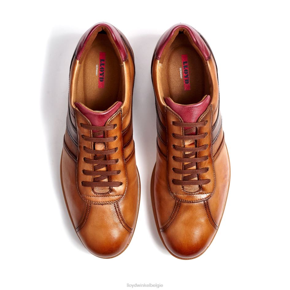 Davos Heren LLOYD bruin schoenen ZJ6BL308