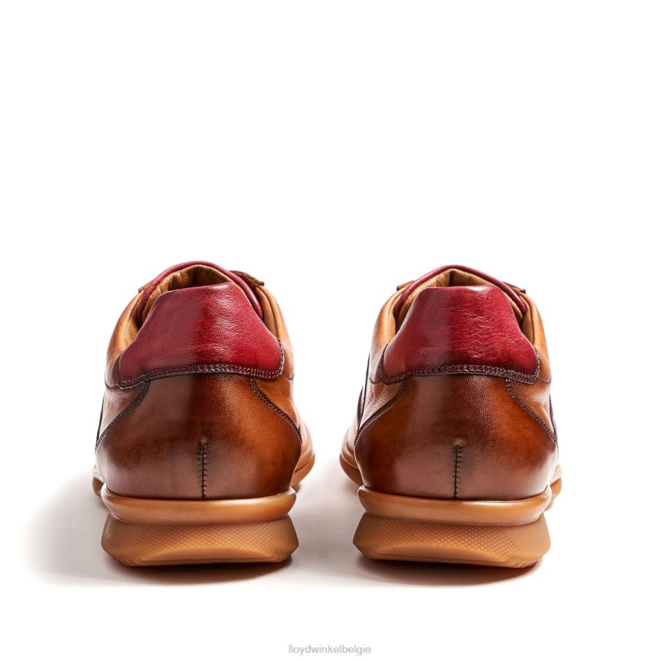 Davos Heren LLOYD bruin schoenen ZJ6BL308