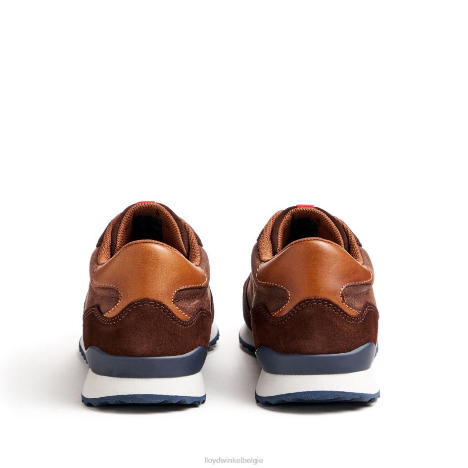 Edmond Heren LLOYD bruin schoenen ZJ6BL290