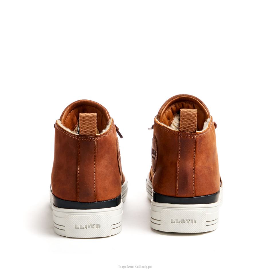 Edward Heren LLOYD bruin schoenen ZJ6BL298