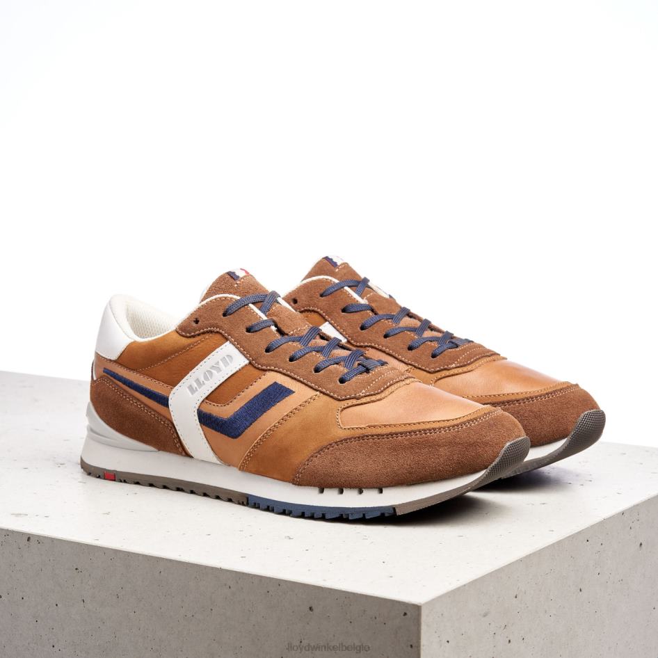 Elio Heren LLOYD bruin schoenen ZJ6BL381