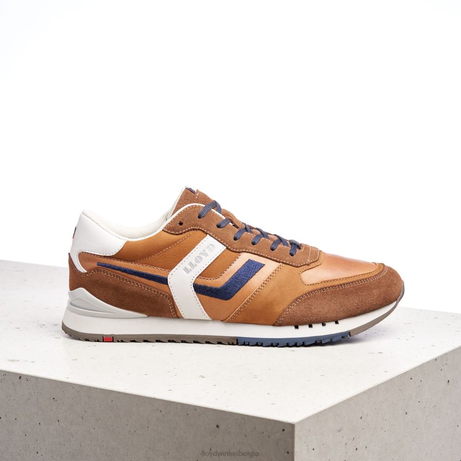 Elio Heren LLOYD bruin schoenen ZJ6BL381