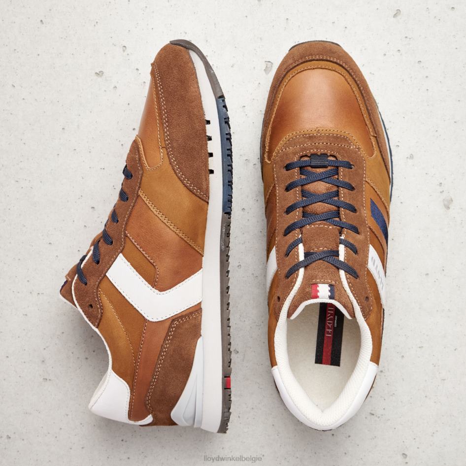 Elio Heren LLOYD bruin schoenen ZJ6BL381