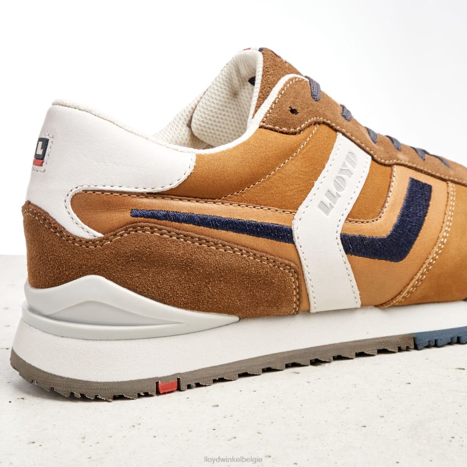 Elio Heren LLOYD bruin schoenen ZJ6BL381