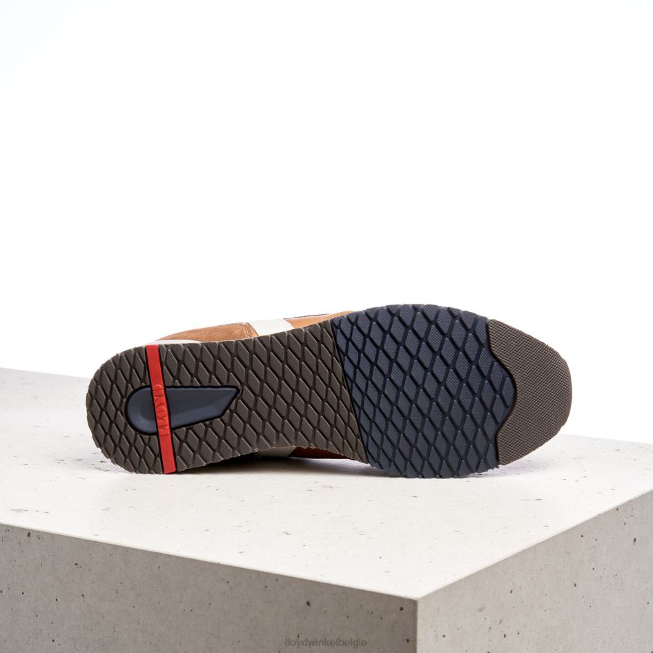 Elio Heren LLOYD bruin schoenen ZJ6BL381