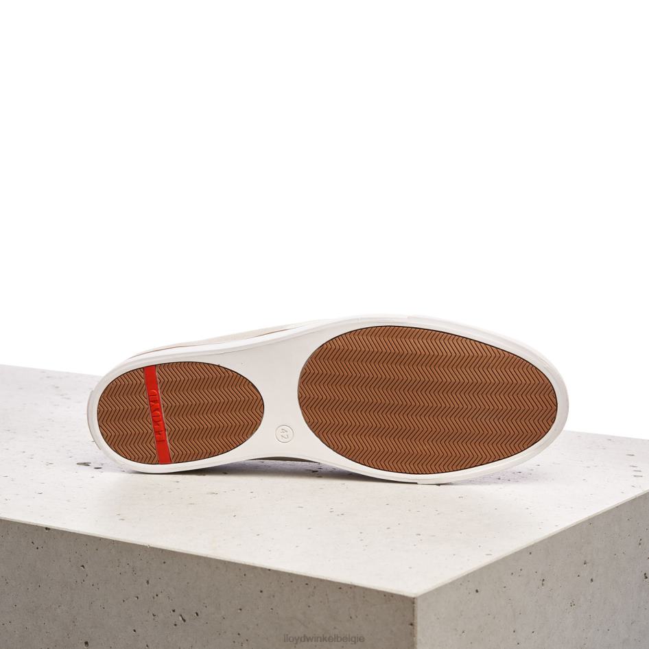 Eliseo Heren LLOYD wit schoenen ZJ6BL406