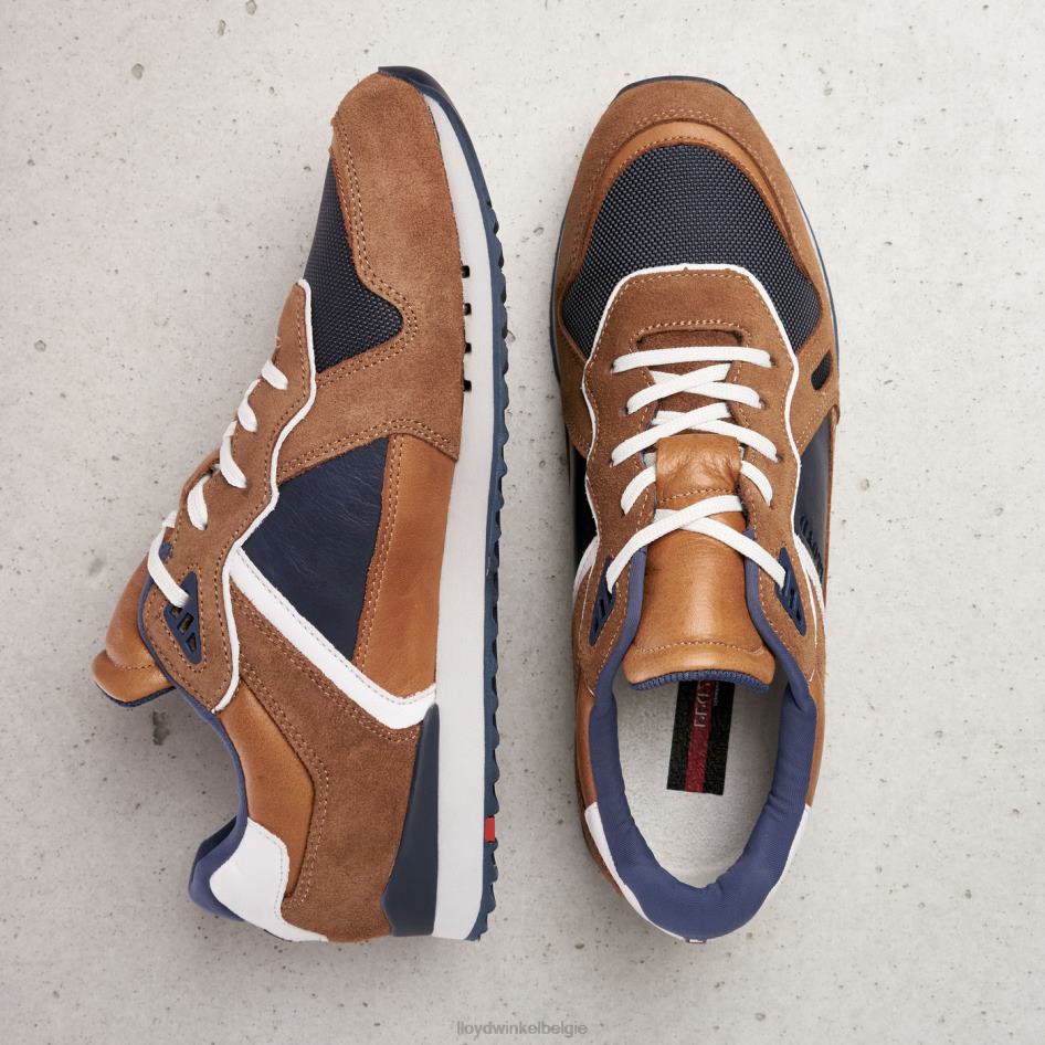 Elja Heren LLOYD bruin schoenen ZJ6BL373