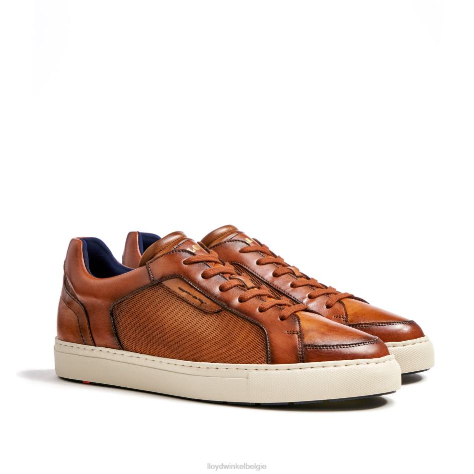 Malaga Heren LLOYD bruin schoenen ZJ6BL1327