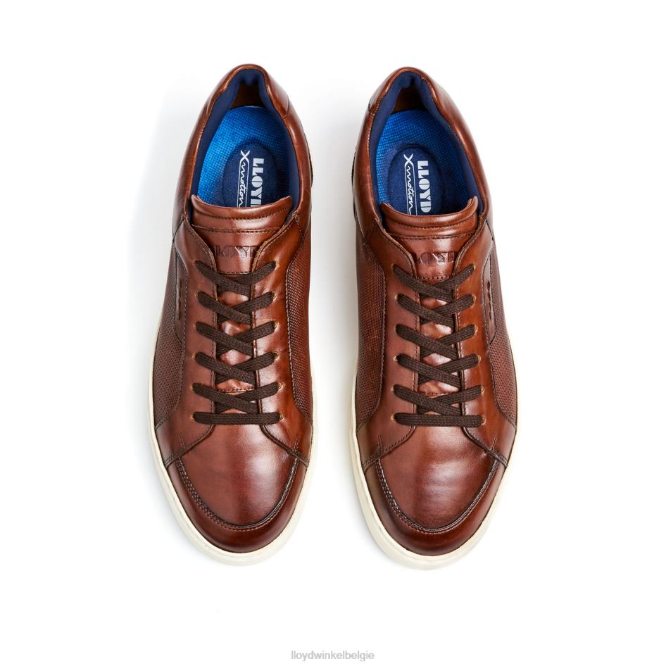 Malaga Heren LLOYD bruin schoenen ZJ6BL249