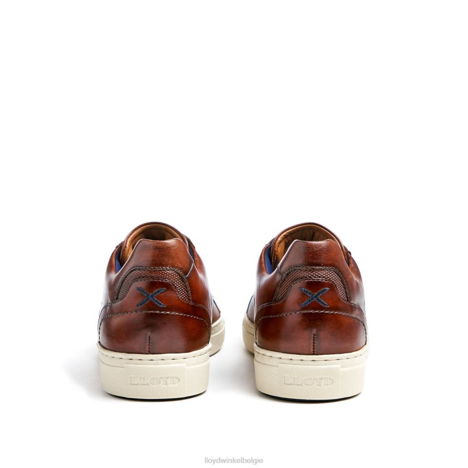 Malaga Heren LLOYD bruin schoenen ZJ6BL249