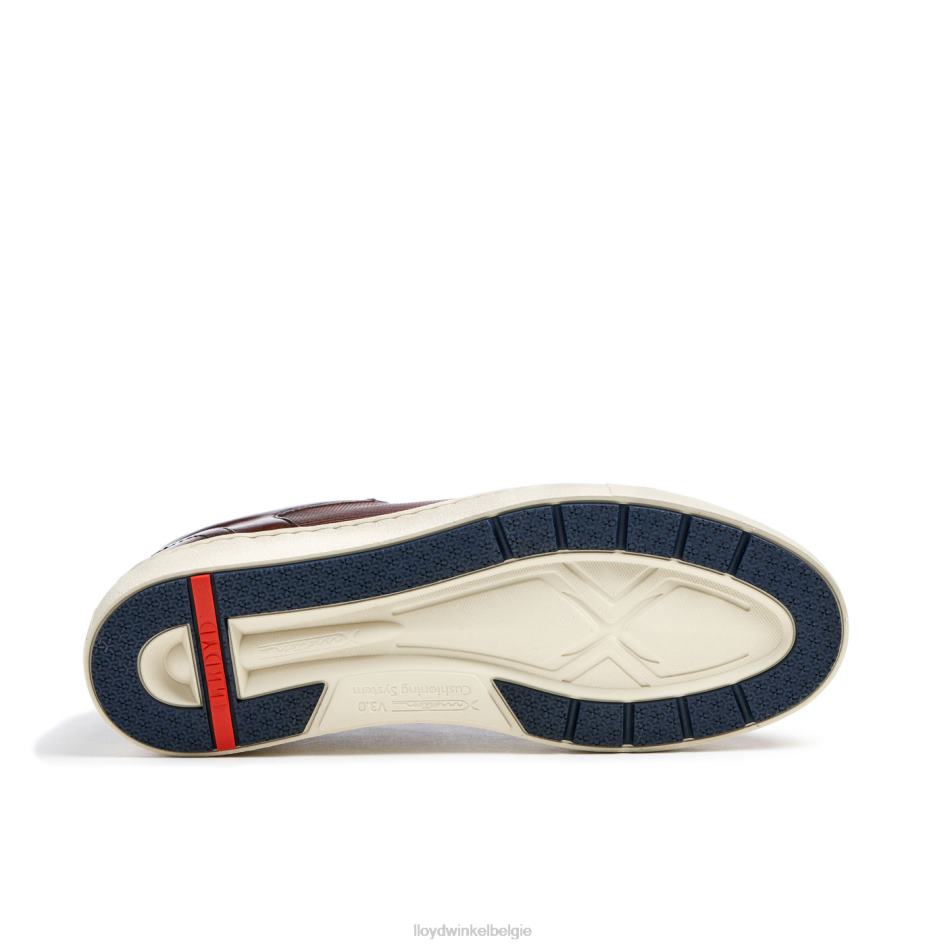 Malaga Heren LLOYD bruin schoenen ZJ6BL249