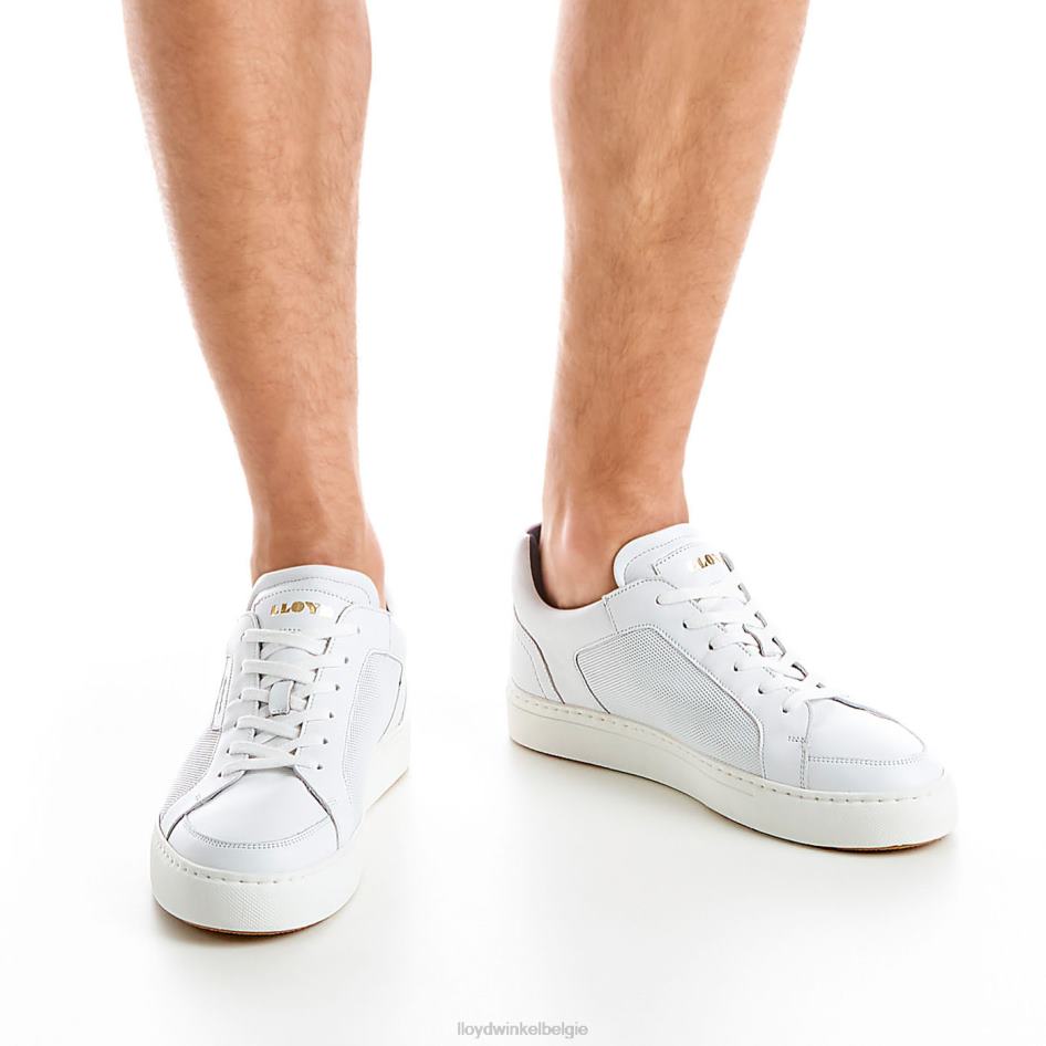 Malaga Heren LLOYD wit schoenen ZJ6BL276