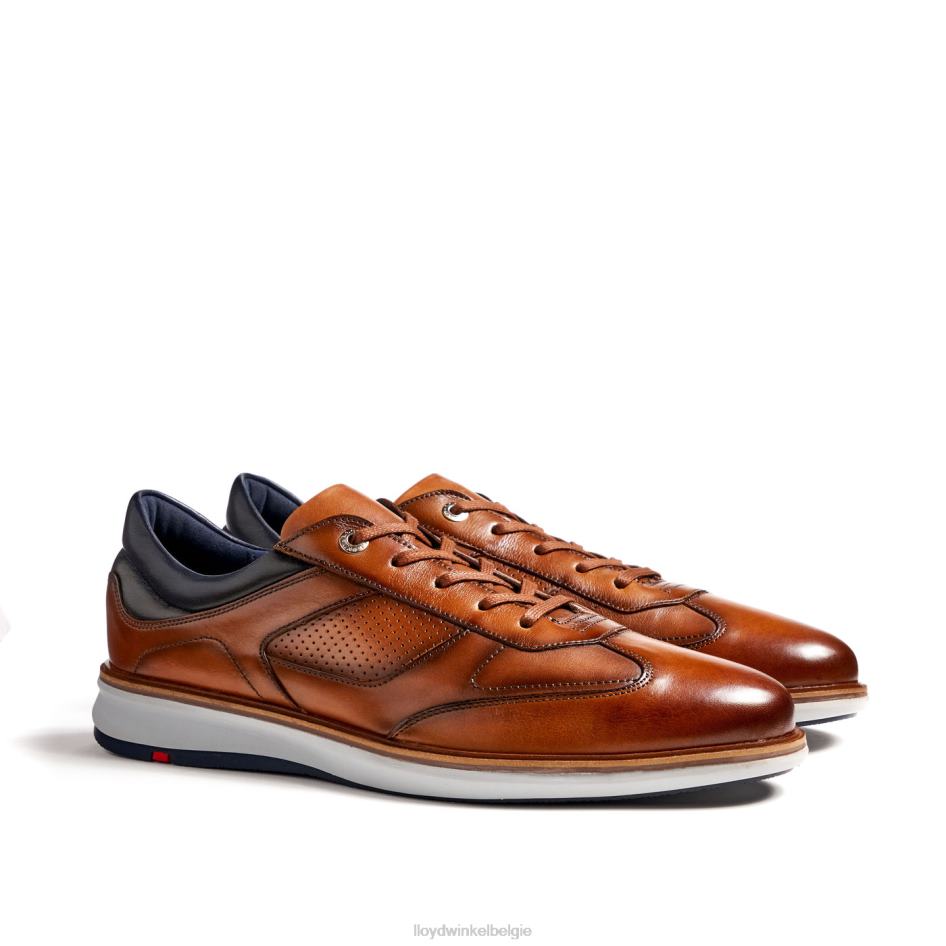 Maxim Heren LLOYD bruin schoenen ZJ6BL250
