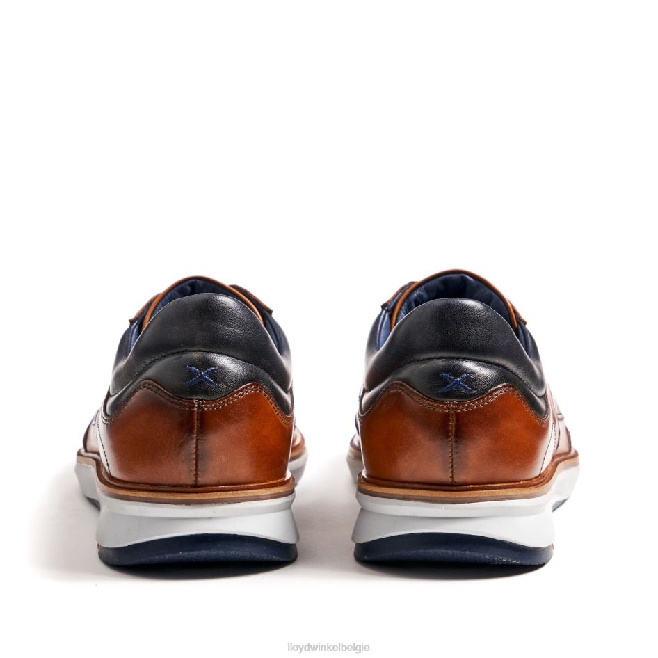 Maxim Heren LLOYD bruin schoenen ZJ6BL250