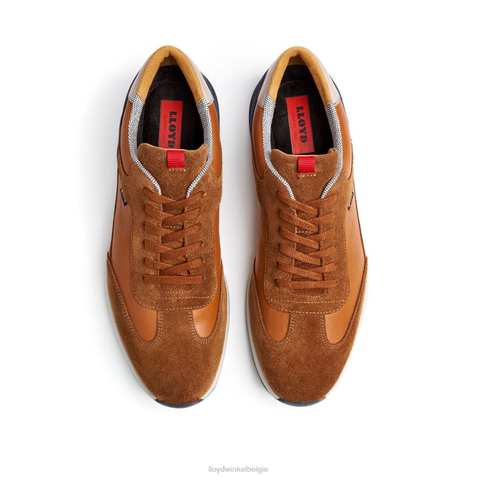 Vedea Heren LLOYD bruin schoenen ZJ6BL322