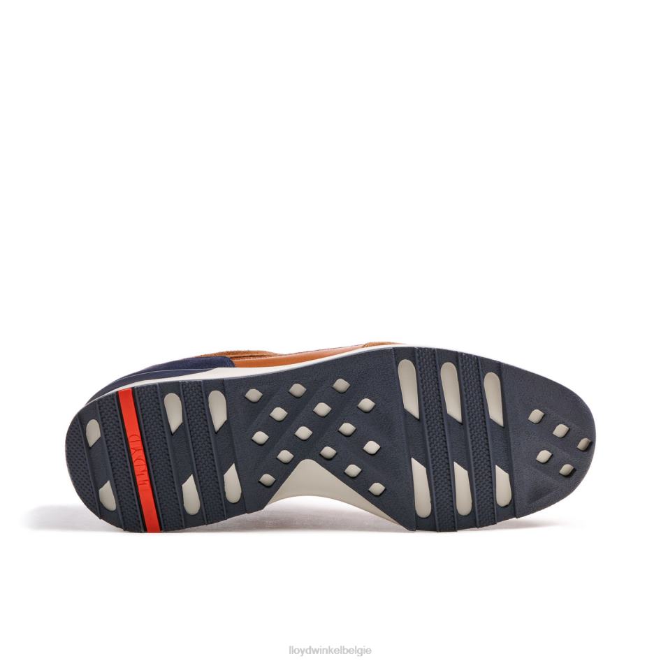 Vedea Heren LLOYD bruin schoenen ZJ6BL322