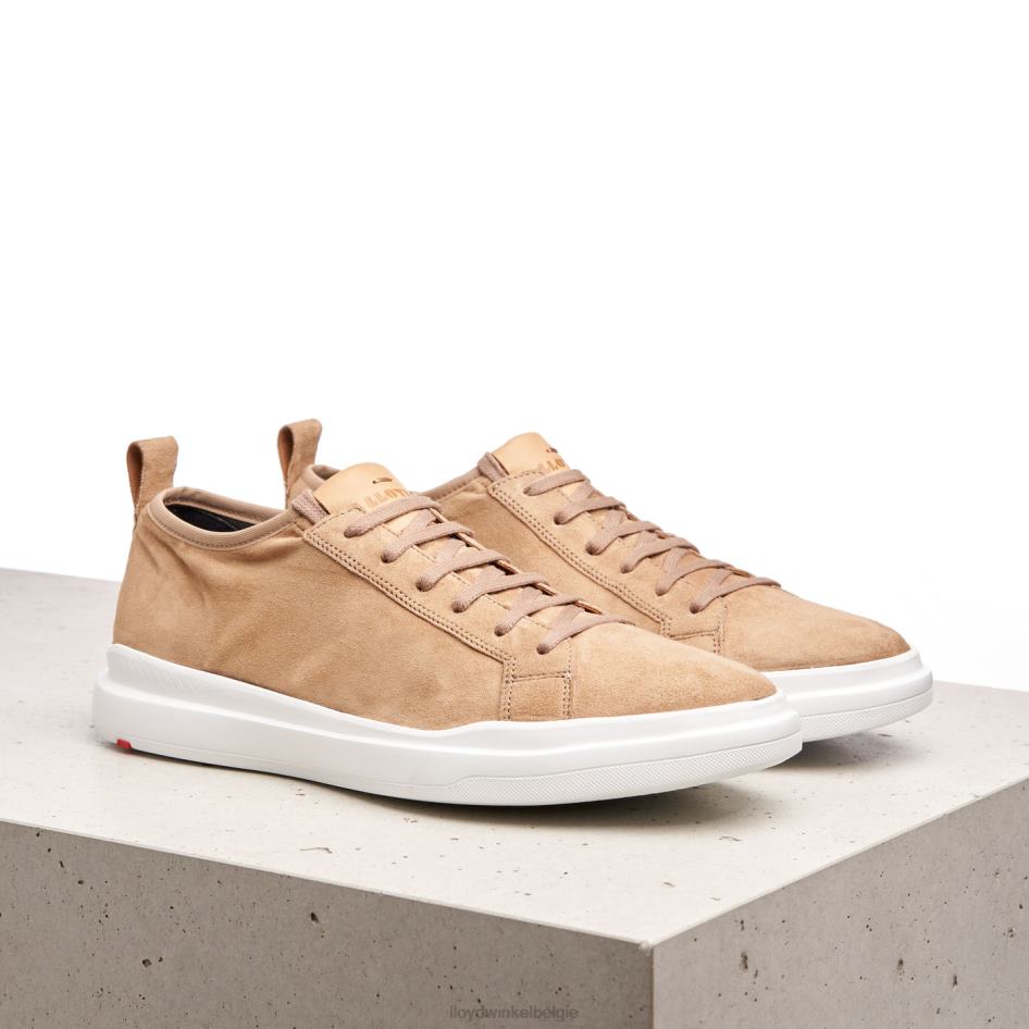 aaro Heren LLOYD bruin schoenen ZJ6BL421