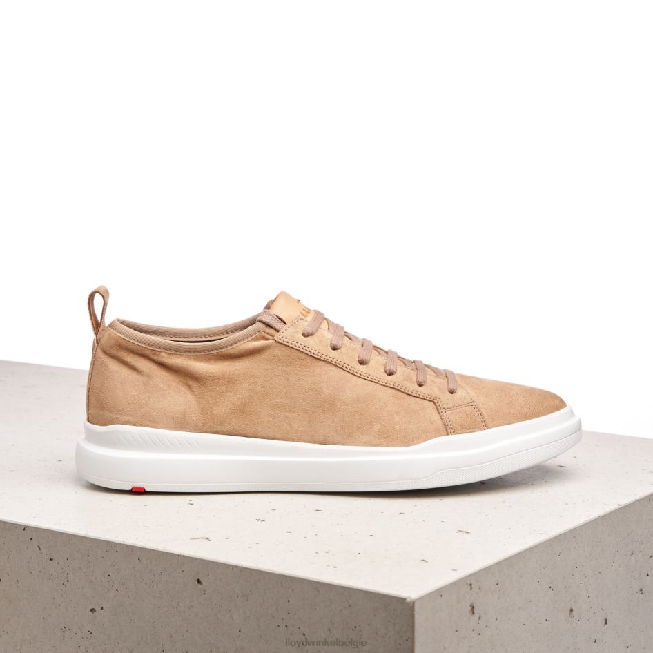 aaro Heren LLOYD bruin schoenen ZJ6BL421