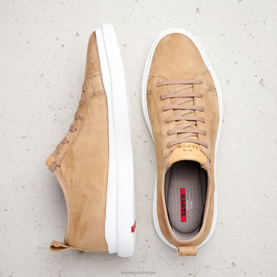 aaro Heren LLOYD bruin schoenen ZJ6BL421